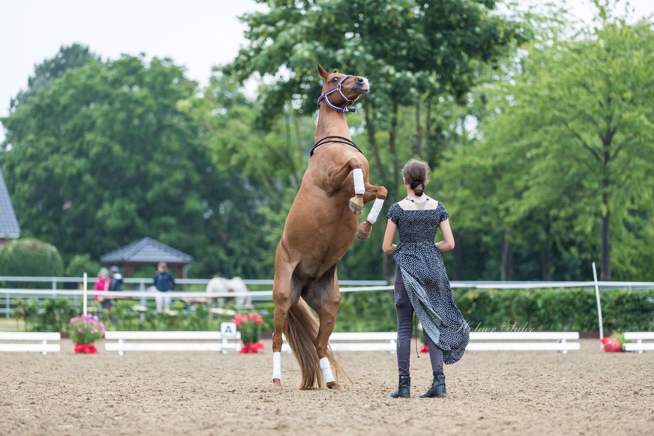 Bild 164 - Pony Akademie Turnier